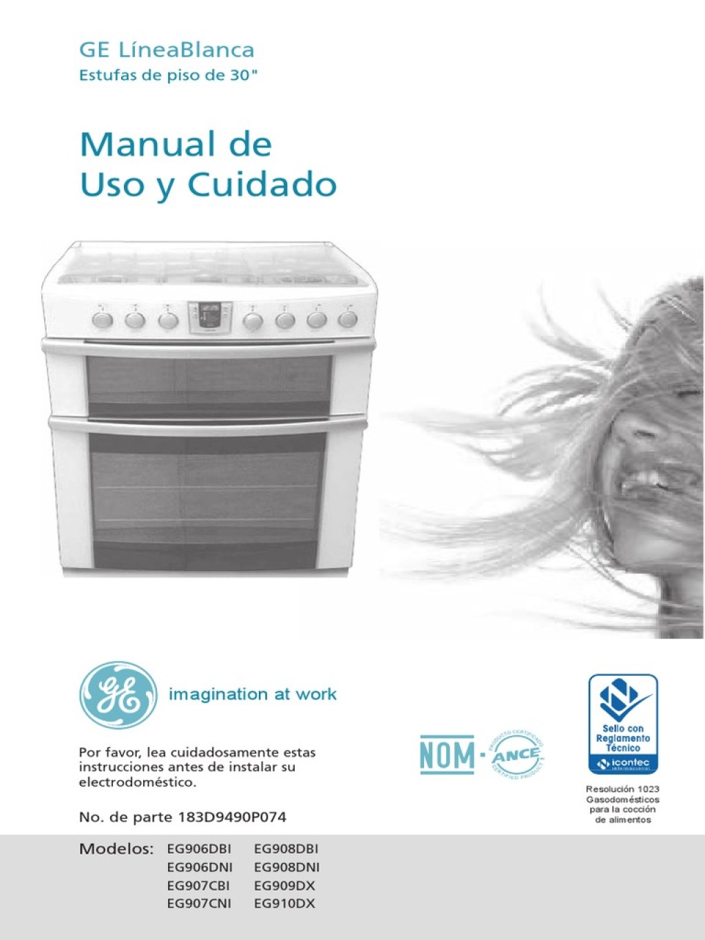 Picture of: Manual Usuario Estufa EGDXA  PDF  Jabón  Estufa de cocina