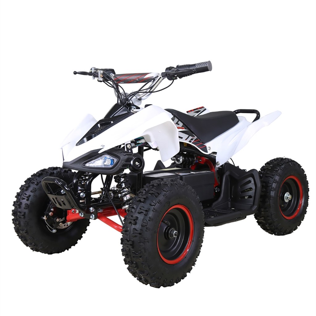 Picture of: TaoTao/Tao Motor E-  W V Electric ATV – My Go Karts